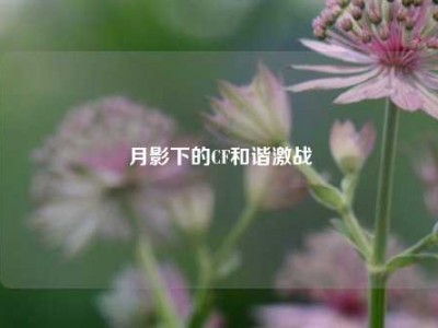 月影下的CF和谐激战