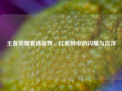 王者荣耀赛场新秀，红黑榜中的闪耀与沉浮