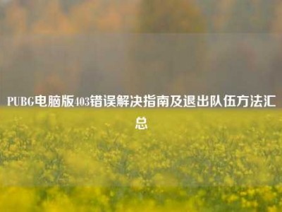 PUBG电脑版403错误解决指南及退出队伍方法汇总