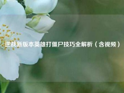 逆战新版本英雄打僵尸技巧全解析（含视频）