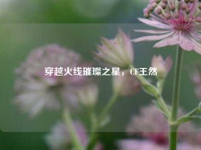 穿越火线璀璨之星，CF王然