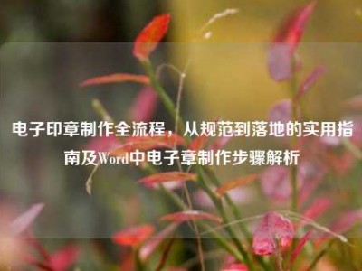电子印章制作全流程，从规范到落地的实用指南及Word中电子章制作步骤解析