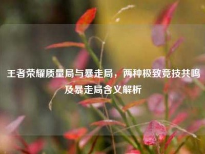 王者荣耀质量局与暴走局，两种极致竞技共鸣及暴走局含义解析