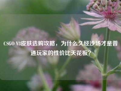 CSGO V3皮肤选购攻略，为什么久经沙场才是普通玩家的性价比天花板？