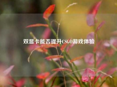 双显卡能否提升CSGO游戏体验