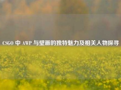 CSGO 中 AWP 与壁画的独特魅力及相关人物探寻