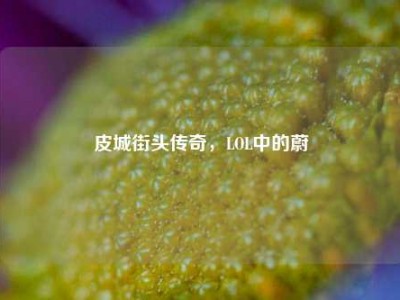 皮城街头传奇，LOL中的蔚