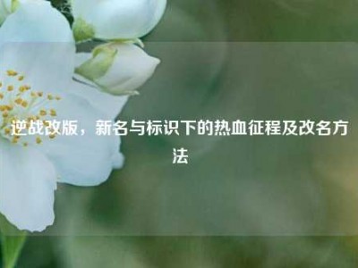 逆战改版，新名与标识下的热血征程及改名方法