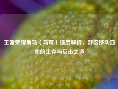 王者荣耀角马（马可）强度解析，野区移动血库的生存与反击之道