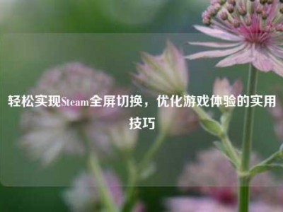 轻松实现Steam全屏切换，优化游戏体验的实用技巧