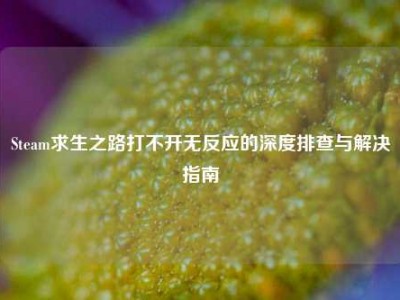 Steam求生之路打不开无反应的深度排查与解决指南