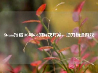 Steam报错103与636的解决方案，助力畅通游戏