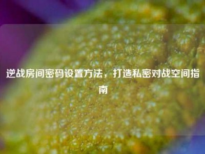逆战房间密码设置方法，打造私密对战空间指南
