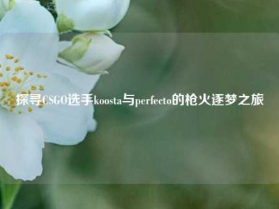 探寻CSGO选手koosta与perfecto的枪火逐梦之旅