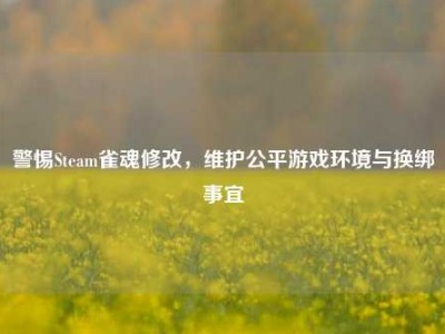 警惕Steam雀魂修改，维护公平游戏环境与换绑事宜