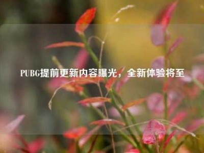 PUBG提前更新内容曝光，全新体验将至