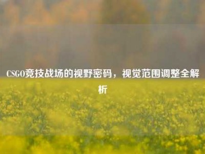 CSGO竞技战场的视野密码，视觉范围调整全解析