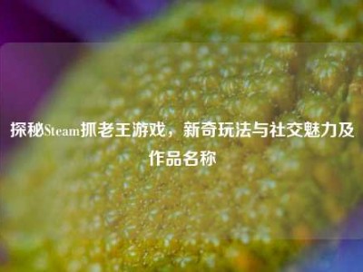 探秘Steam抓老王游戏，新奇玩法与社交魅力及作品名称