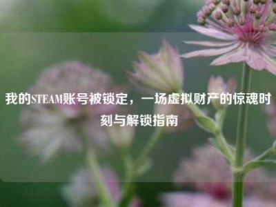 我的STEAM账号被锁定，一场虚拟财产的惊魂时刻与解锁指南