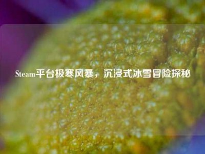 Steam平台极寒风暴，沉浸式冰雪冒险探秘