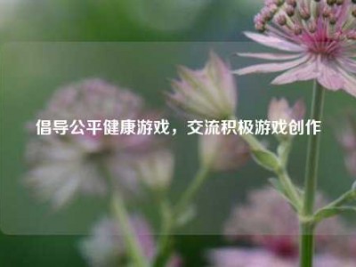 倡导公平健康游戏，交流积极游戏创作