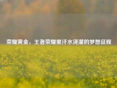 荣耀黄金，王者荣耀里汗水浇灌的梦想征程