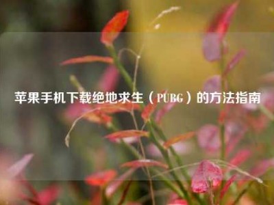 苹果手机下载绝地求生（PUBG）的方法指南