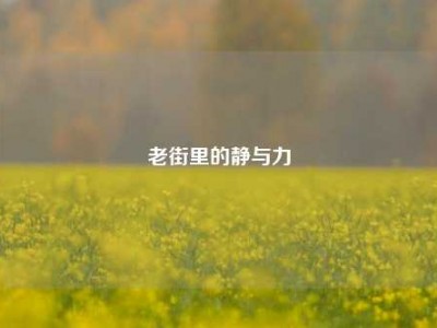 老街里的静与力