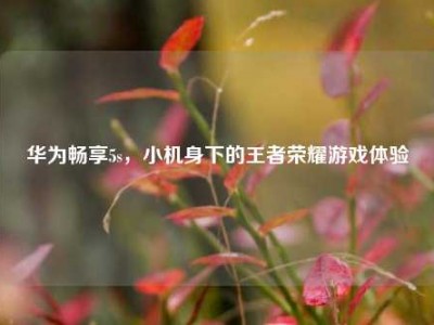 华为畅享5s，小机身下的王者荣耀游戏体验