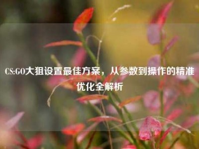 CS:GO大狙设置最佳方案，从参数到操作的精准优化全解析