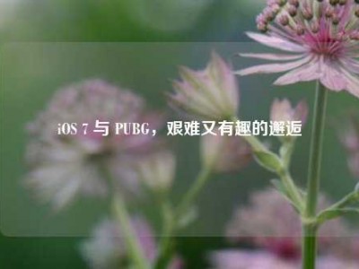 iOS 7 与 PUBG，艰难又有趣的邂逅