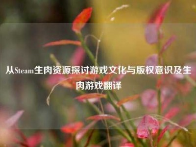 从Steam生肉资源探讨游戏文化与版权意识及生肉游戏翻译
