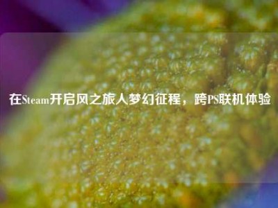 在Steam开启风之旅人梦幻征程，跨PS联机体验