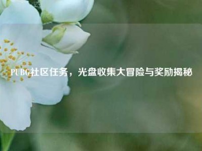 PUBG社区任务，光盘收集大冒险与奖励揭秘