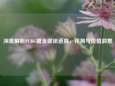 深度解析PUBG镀金镀银道具，评测与价值洞察