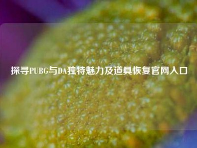 探寻PUBG与DA独特魅力及道具恢复官网入口