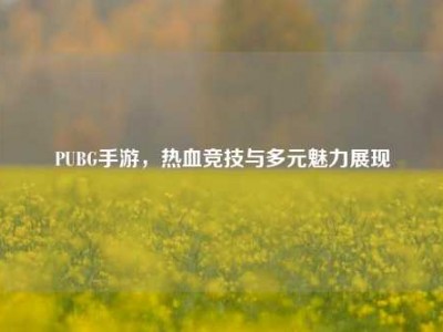 PUBG手游，热血竞技与多元魅力展现