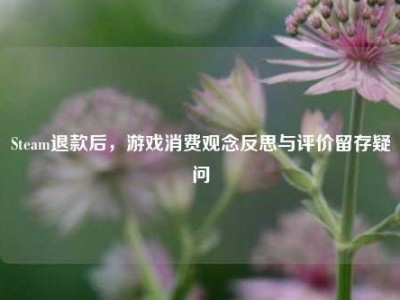 Steam退款后，游戏消费观念反思与评价留存疑问