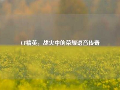 CF精英，战火中的荣耀语音传奇