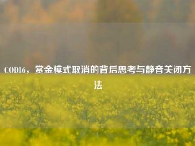 COD16，赏金模式取消的背后思考与静音关闭方法