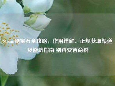 Steam刷宝石全攻略，作用详解、正规获取渠道及避坑指南 别再交智商税