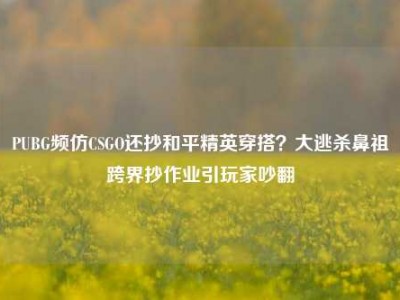 PUBG频仿CSGO还抄和平精英穿搭？大逃杀鼻祖跨界抄作业引玩家吵翻