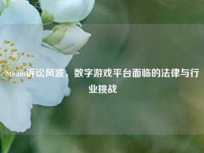 Steam诉讼风波，数字游戏平台面临的法律与行业挑战