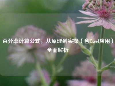 百分率计算公式，从原理到实操（含Excel应用）全面解析
