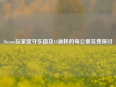Steam玩家坚守乐园及14油耗的每公里花费探讨