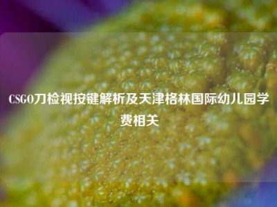 CSGO刀检视按键解析及天津格林国际幼儿园学费相关