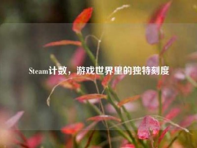 Steam计数，游戏世界里的独特刻度