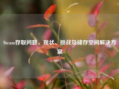 Steam存取问题，现状、挑战及储存空间解决方案
