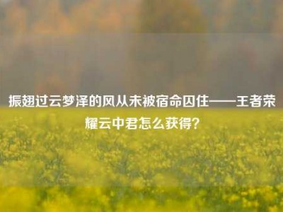 振翅过云梦泽的风从未被宿命囚住——王者荣耀云中君怎么获得？