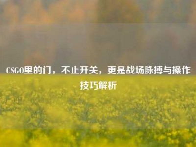 CSGO里的门，不止开关，更是战场脉搏与操作技巧解析